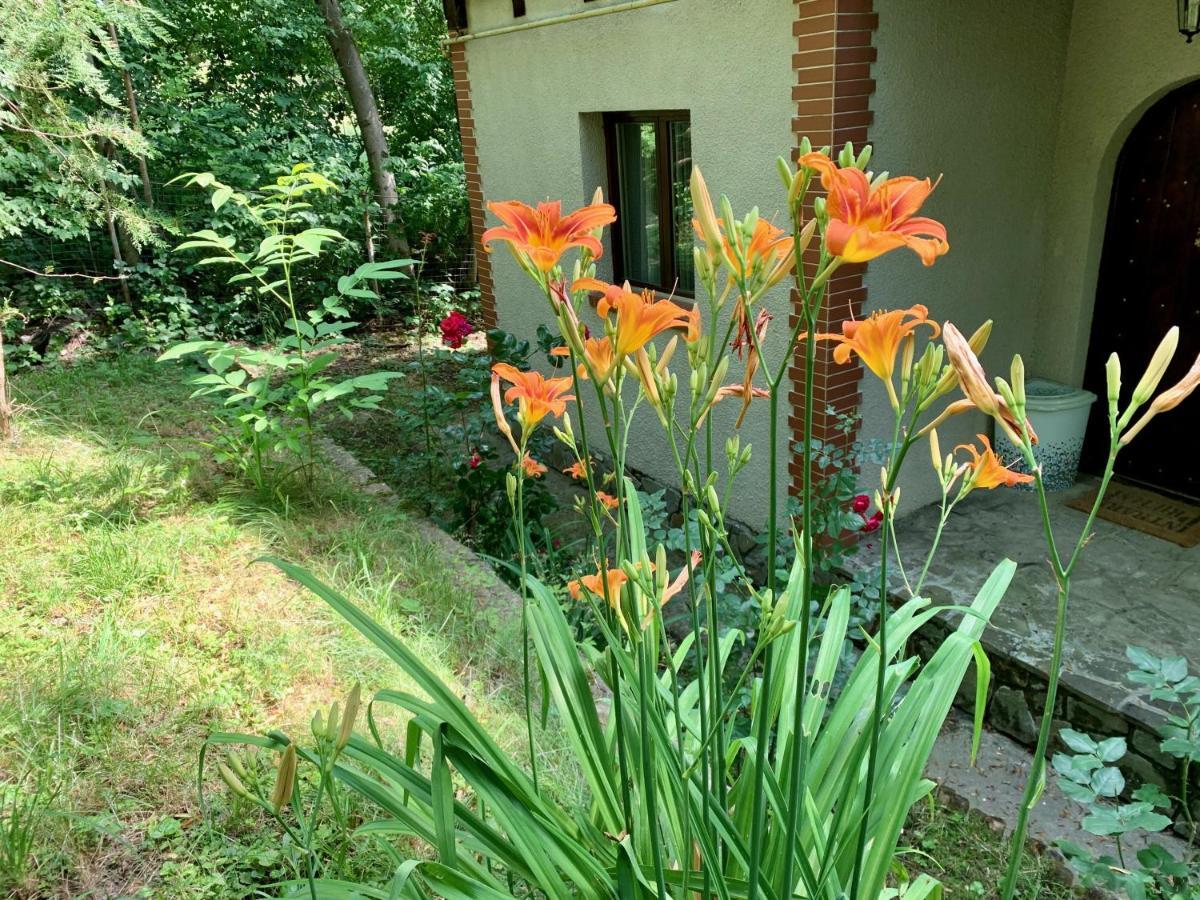 Mountain Family Chalet On Prahova Valley Comarnic Exteriör bild
