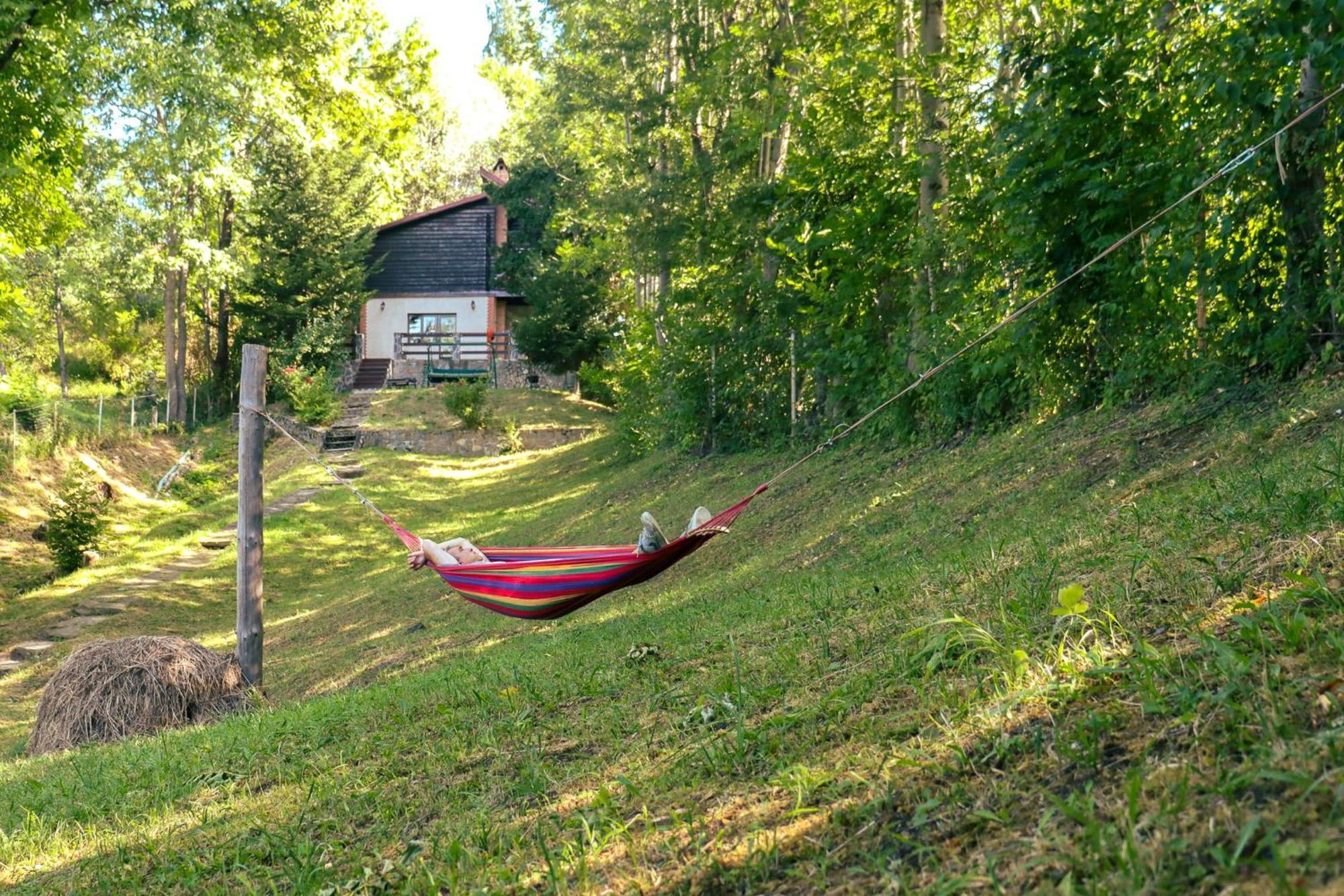 Mountain Family Chalet On Prahova Valley Comarnic Exteriör bild